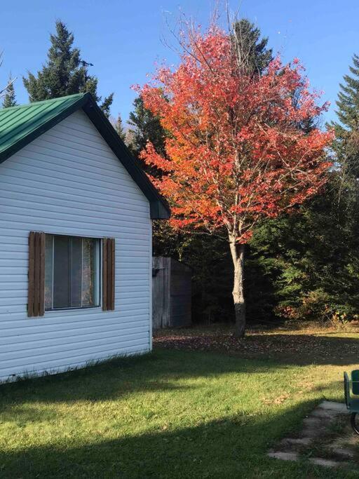 Le Jazz- Chalet Rustique/Chic Avec Spa Notre-Dame-Des-Bois Extérieur photo